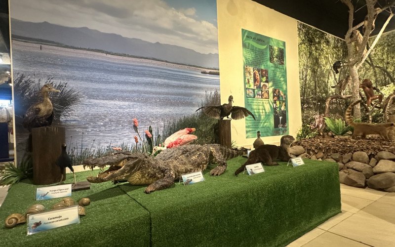Museu Ceclimar 