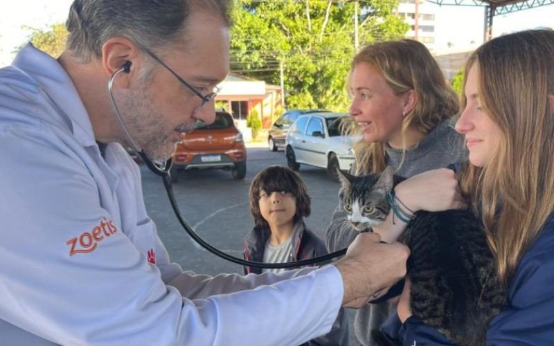 Prefeitura de Estância Velha passa a oferecer itraconazol gratuitamente | abc+