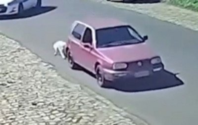 "Cachorro é meu, faço o que eu quero": Homem que arrastou cão amarrado no para-choque de carro tem sentença definida pela Justiça