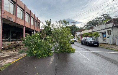Chuva causa queda de árvore e estragos em agência bancária de Novo Hamburgo