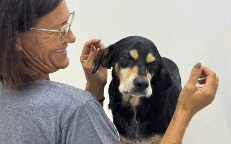 Cão não dispensa um carinho | abc+