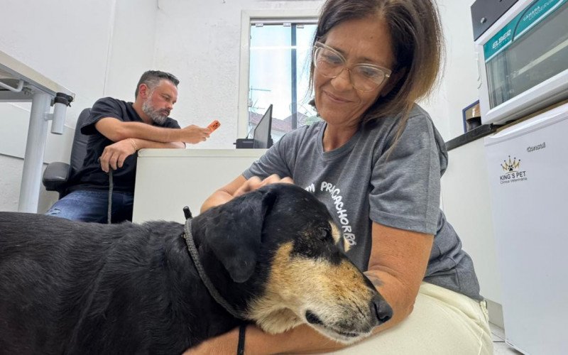 Cão não dispensa um carinho