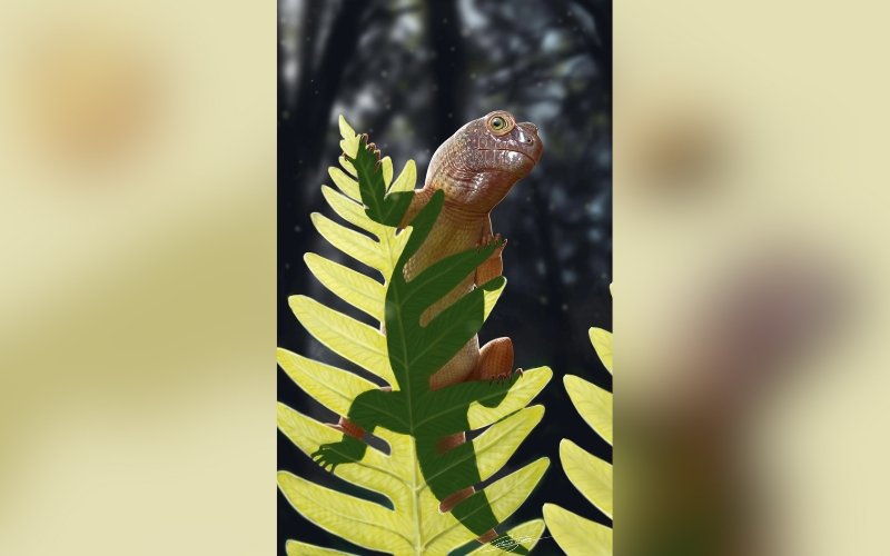 Conheça o lagarto piá: A nova espécie de 240 milhões de anos descoberta no interior do RS