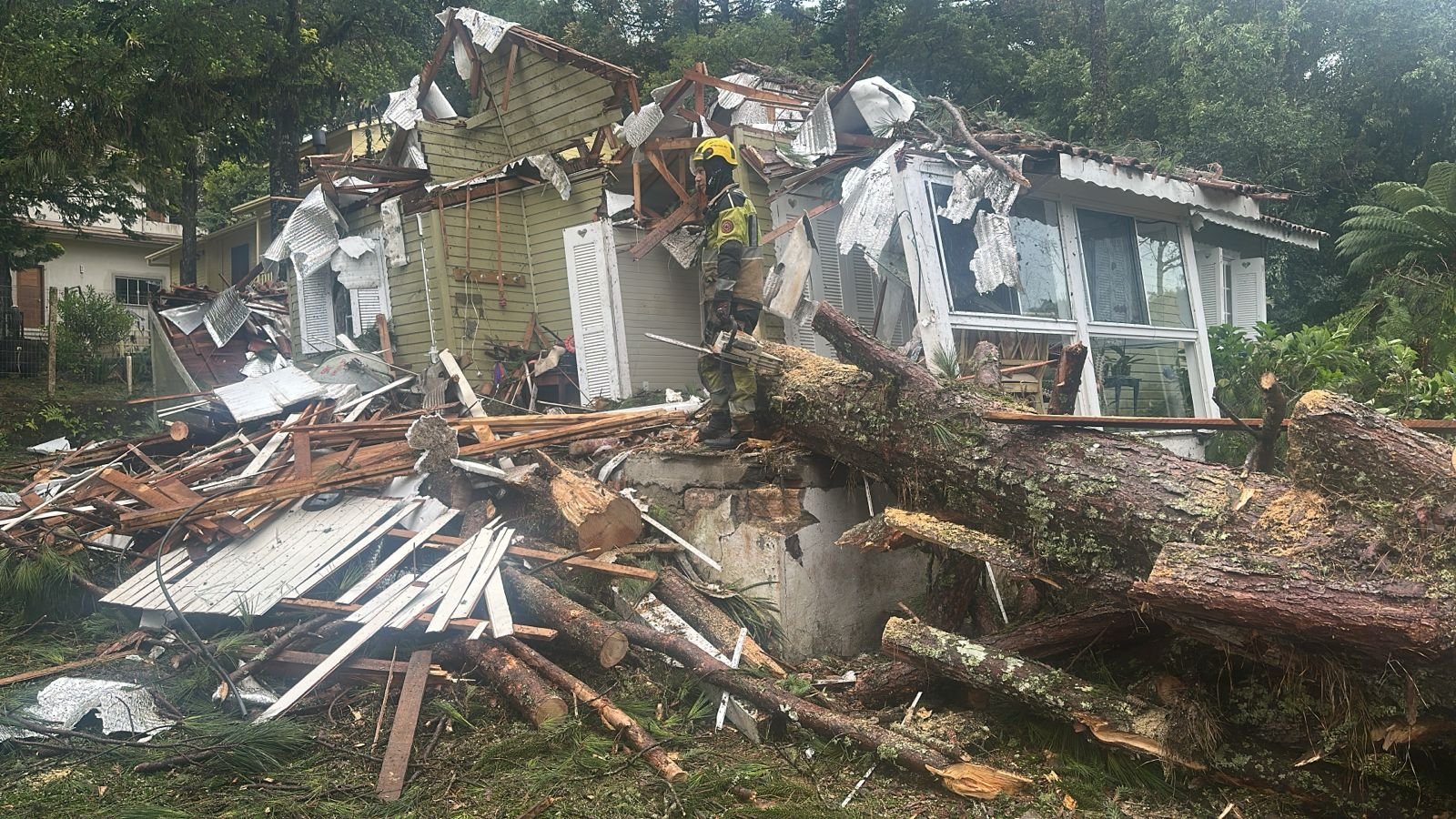 Temporal causa queda de árvore de grande porte e residência tem estrutura afetada em Canela