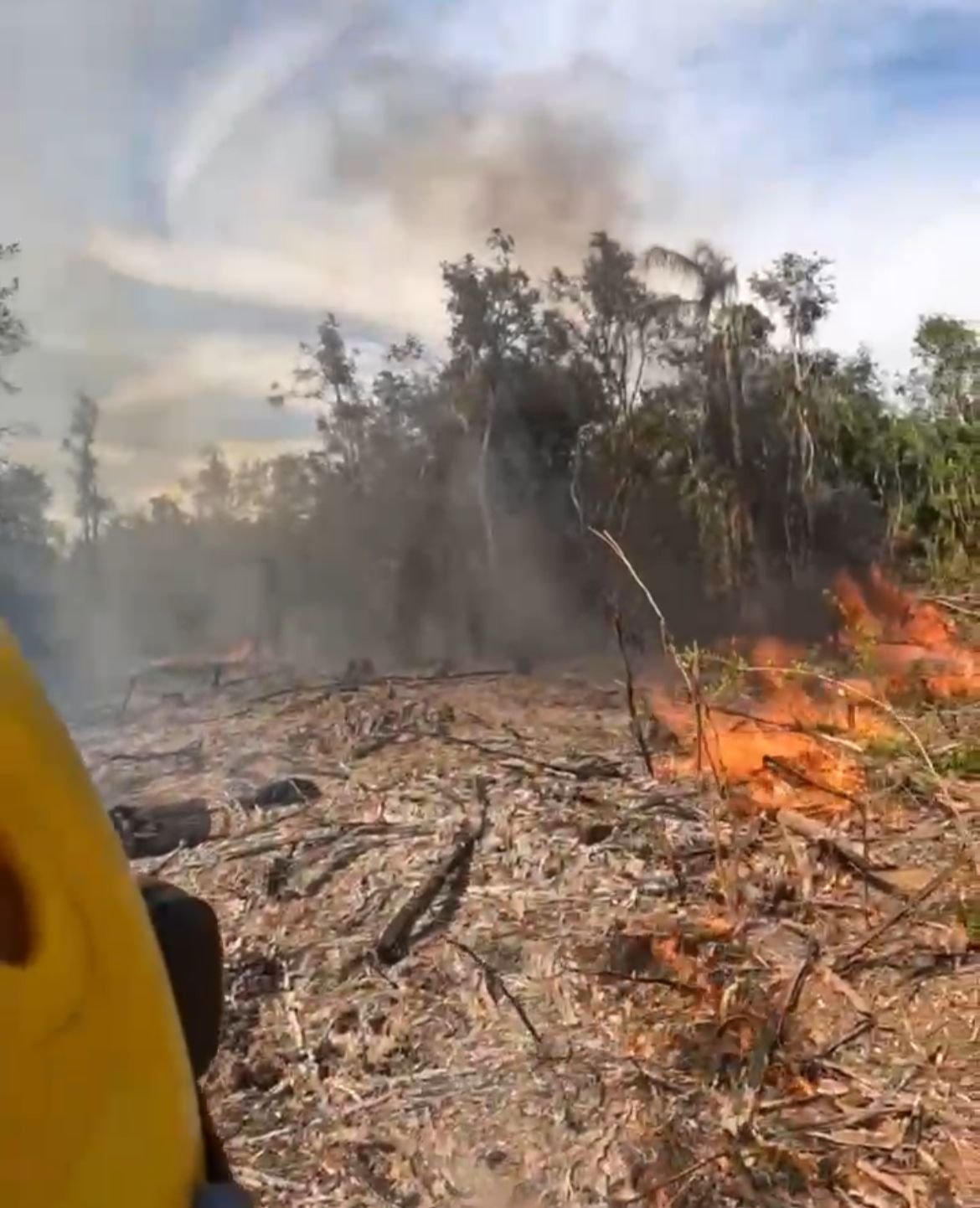 Incêndio atinge área de 20 hectares de vegetação em Taquara