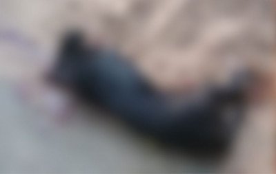 Cão morre após moradores ouvirem disparos de arma de fogo no Vale do Sinos