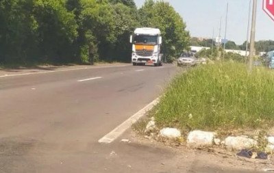 RS-239: Falta de poda em canteiro central em Novo Hamburgo dificulta visão dos motoristas