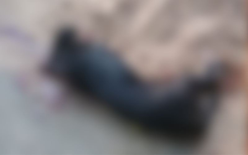 Cão foi morto a tiros na quinta-feira (29) em Sapiranga | abc+