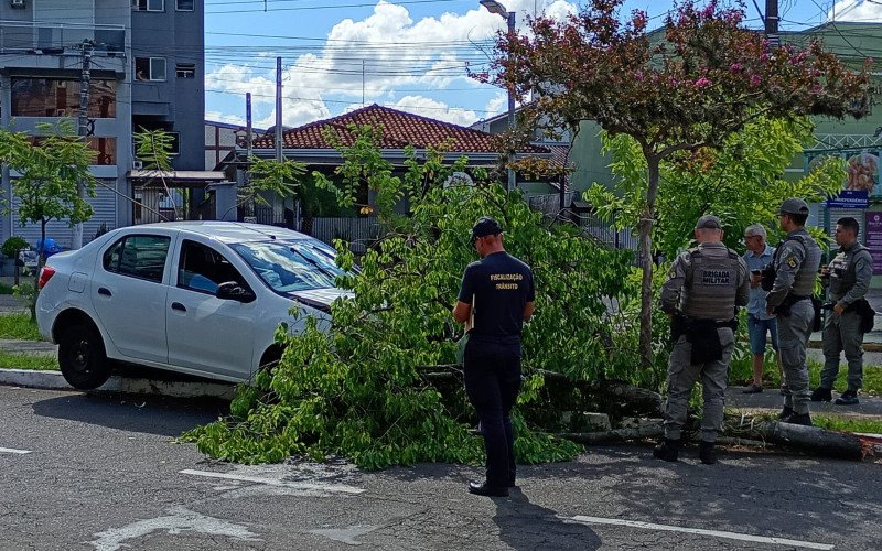 Motorista colidiu com árvore e invadiu ciclovia em Campo Bom | abc+