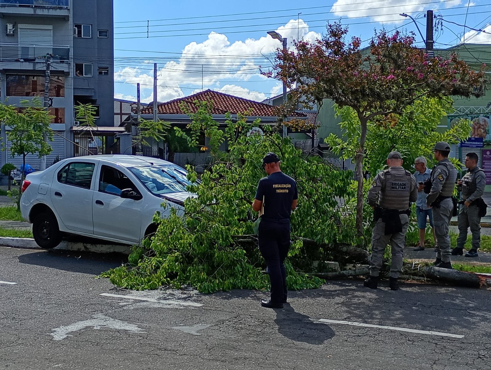 Carro bate em &aacute;rvore e invade ciclovia no Vale do Sinos