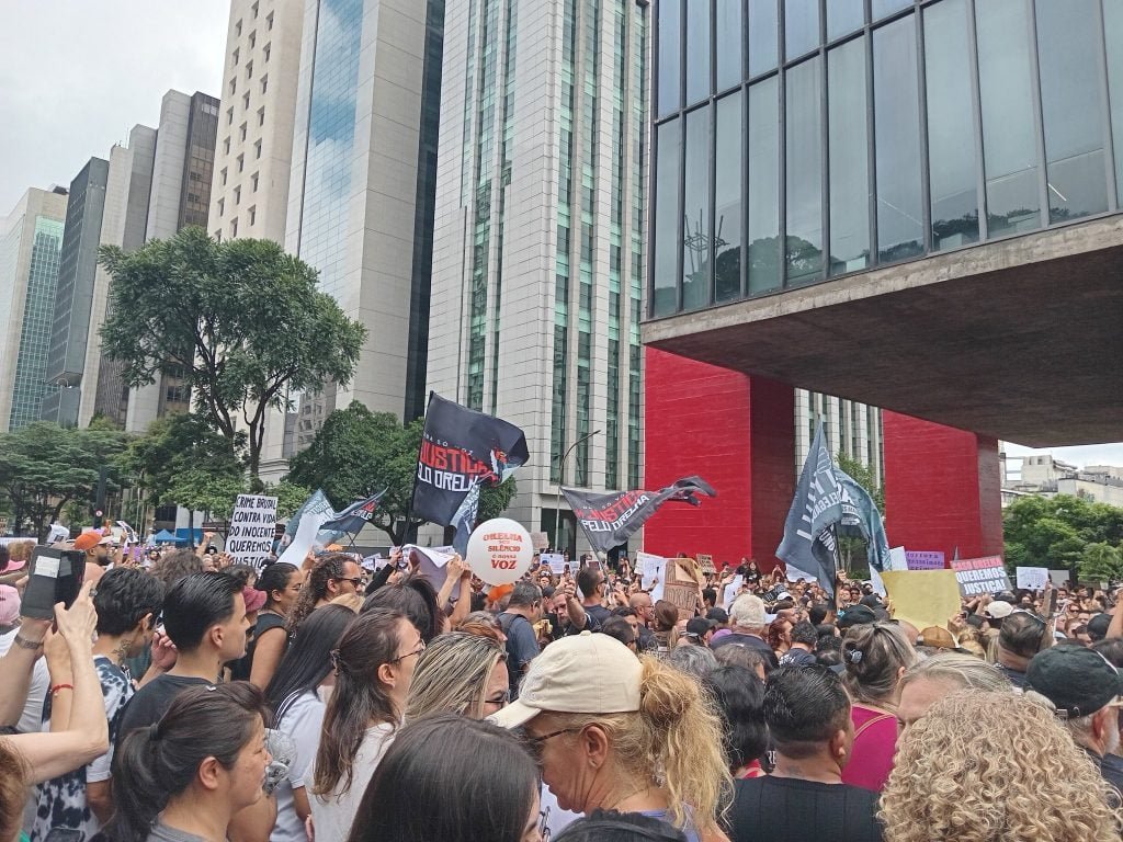 Morte do c&atilde;o Orelha mobiliza artistas e manifestantes em protestos neste domingo pelo Brasil