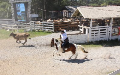 Gramado se prepara para receber 46º Rodeio Crioulo Nacional