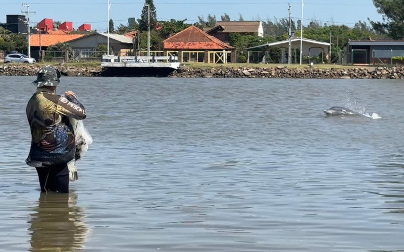 Pesca cooperativa com botos no Rio Tramandaí 
