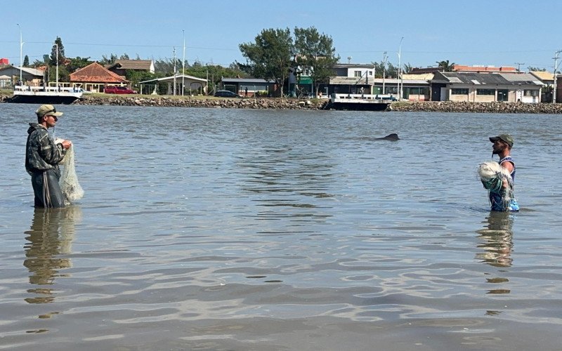 Pesca cooperativa com botos no Rio Tramandaí | abc+