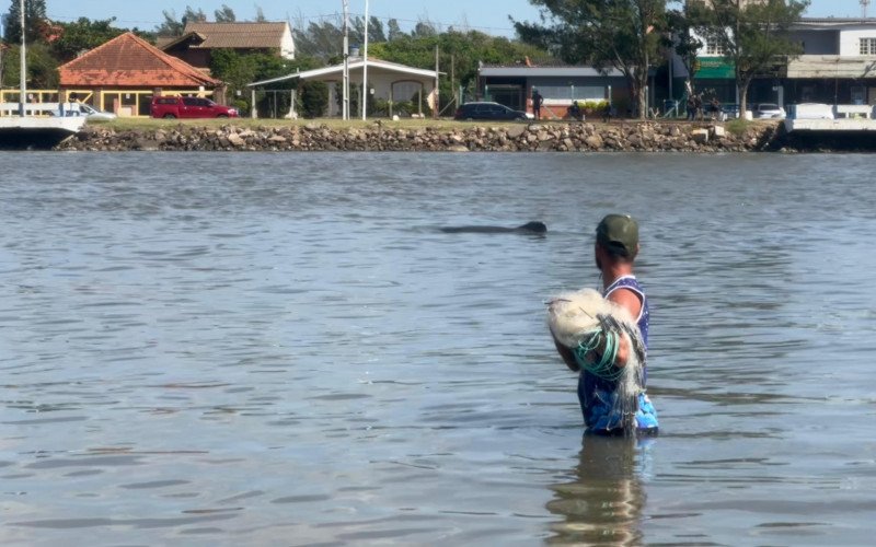 Pesca cooperativa com botos no Rio Tramandaí 