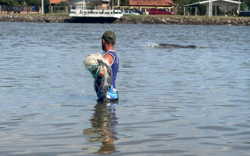Pesca cooperativa com botos no Rio Tramandaí 
