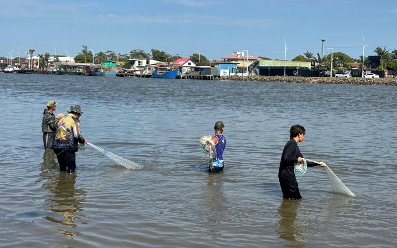 Pesca cooperativa com botos no Rio Tramandaí 
