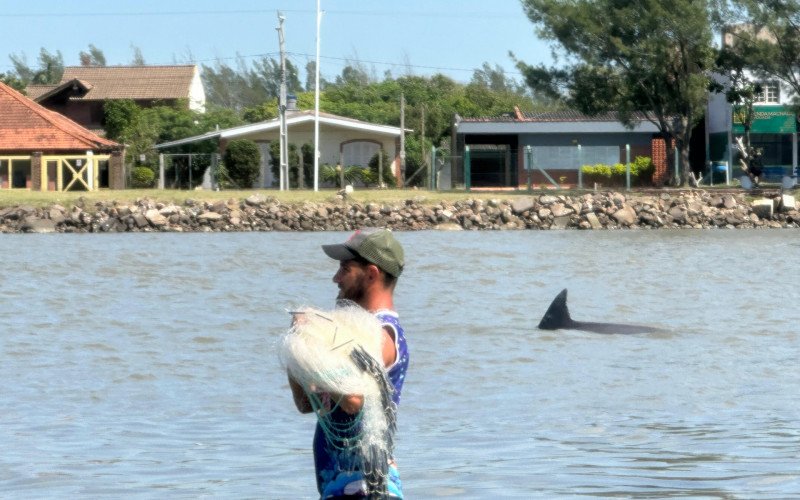 Pesca cooperativa com botos no Rio Tramandaí | abc+