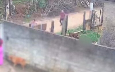 Bebê é arrastado por pitbull e polícia investiga se criança estava morta antes do ataque