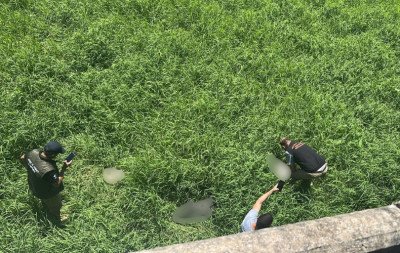 Corpos embaixo de ponte: Cães teriam sido arremessados de estrutura no RS