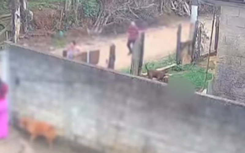Na segunda-feira (2), bebê de 11 meses foi atacado por pitbull, em SP | abc+