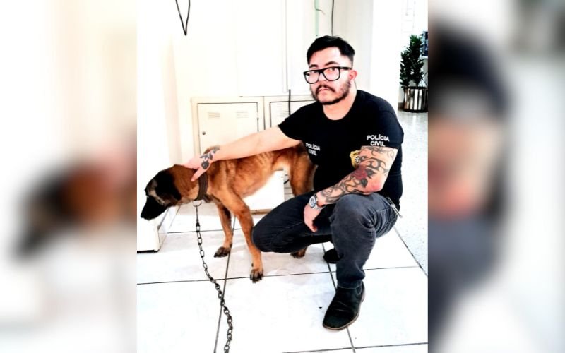 Cachorro que foi encontrado debilitado foi socorrido e levado para atendimento veterin&aacute;rio