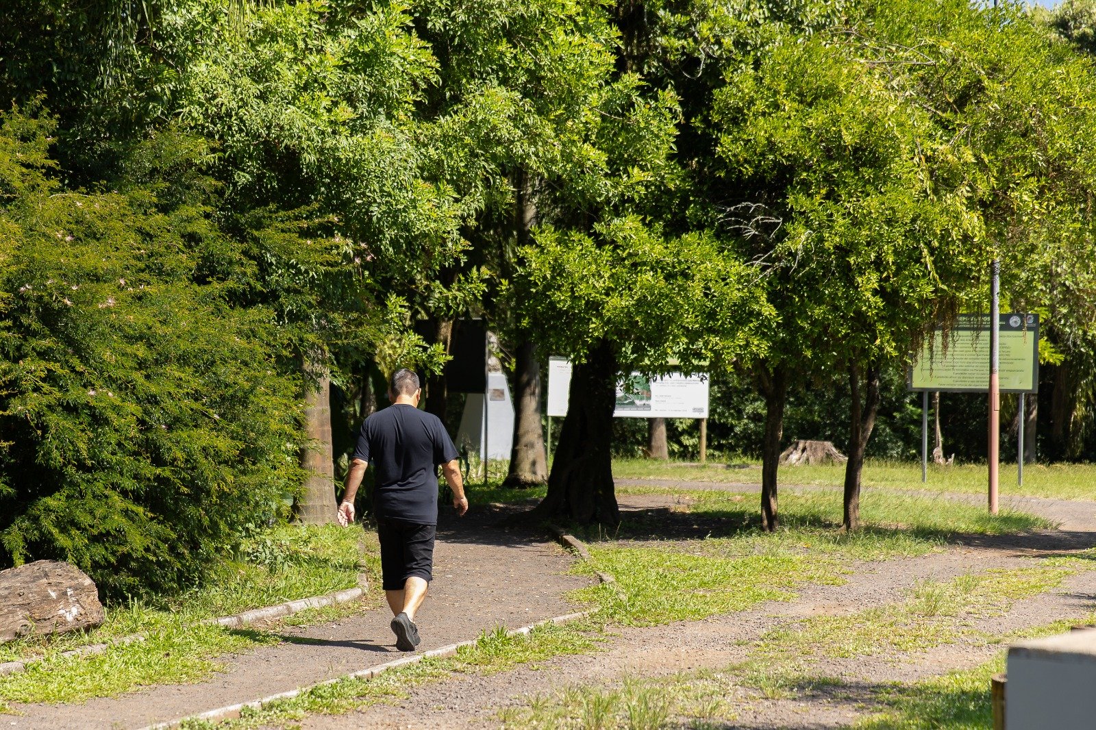 Solicitação e renovação de descontos no IPTU Verde 2027 tem prazo aberto até agosto de 2026