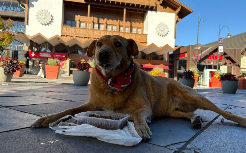 Ana Paula e o cão comunitário Caramelo, em Gramado