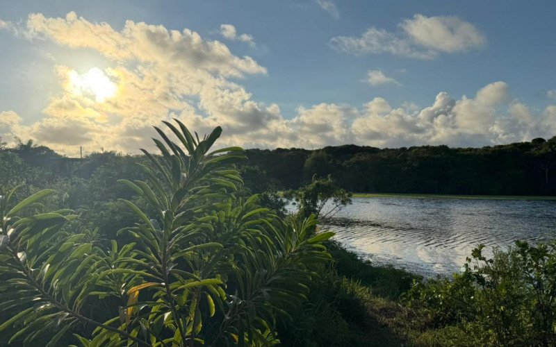 Junto à mata atlântica também há um lago
