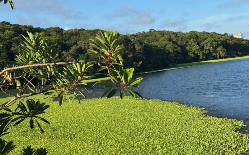 Junto à Mata Atlântica há um lago em Arroio do Sal