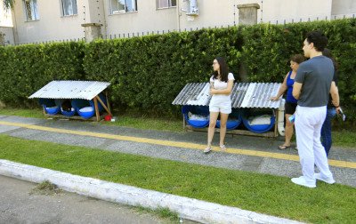 VÍDEO: Moradores se unem para cuidar de animais comunitários em Canoas