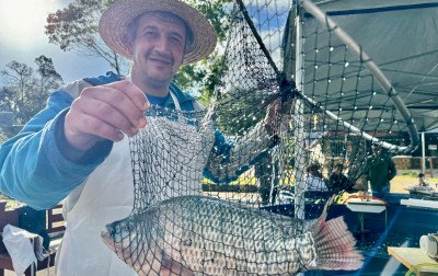 Gramado terá nova edição da Feira do Peixe Vivo neste final de semana
