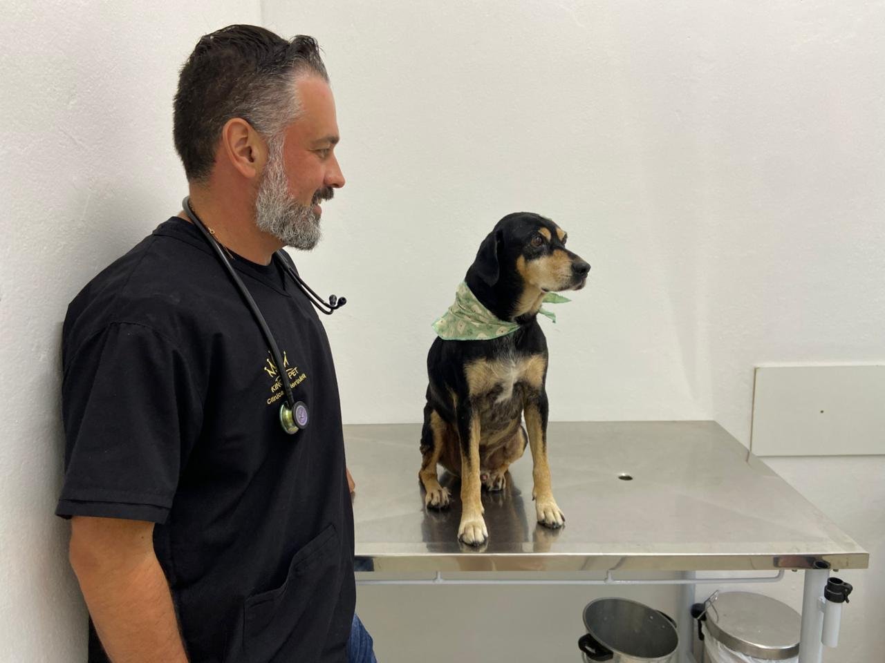 C&atilde;o baleado em Campo Bom recebe alta e vai para novo lar