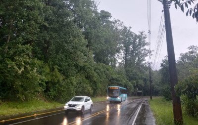 Corte de vegetação de risco ainda sem prazo na Estrada do Horto