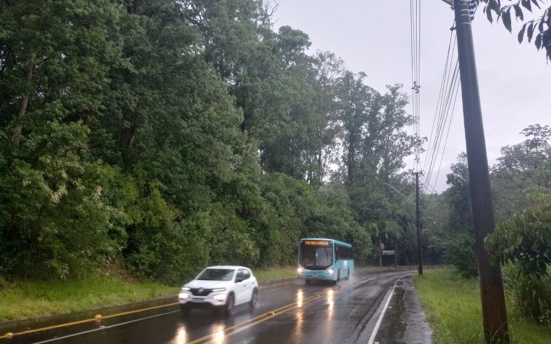 Estrada do Horto ainda não teve as árvores cortadas