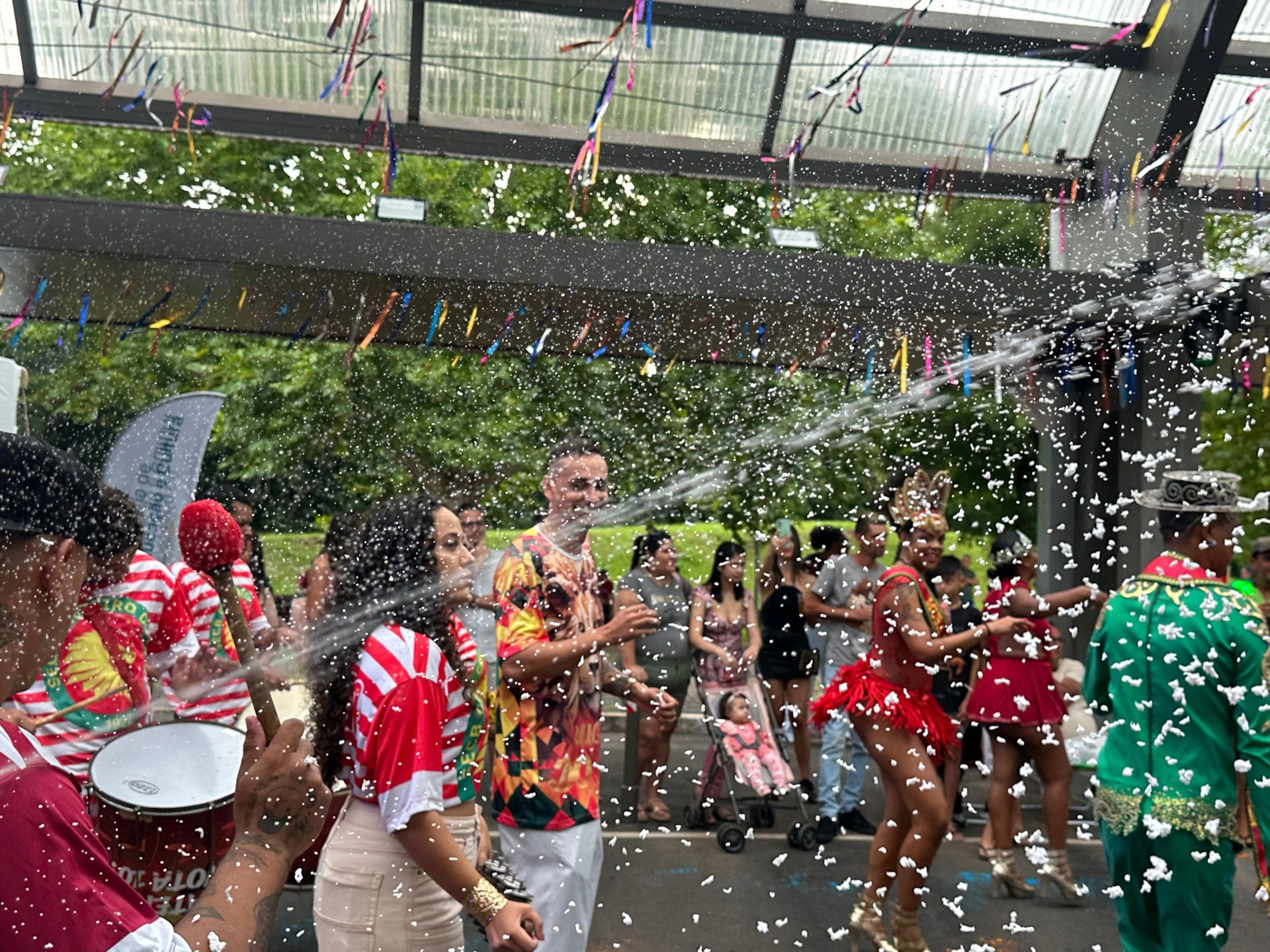 VÍDEO: Carnaval de rua faz a alegria de todas as idades em Campo Bom