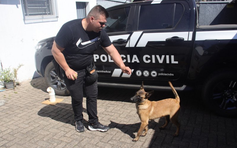 O adestrador Ruan Santos &eacute; o respons&aacute;vel pelos cuidados com os c&atilde;es. Na foto, ele brinca com Arya, que est&aacute; aprendendo a identificar e sinalizar odores