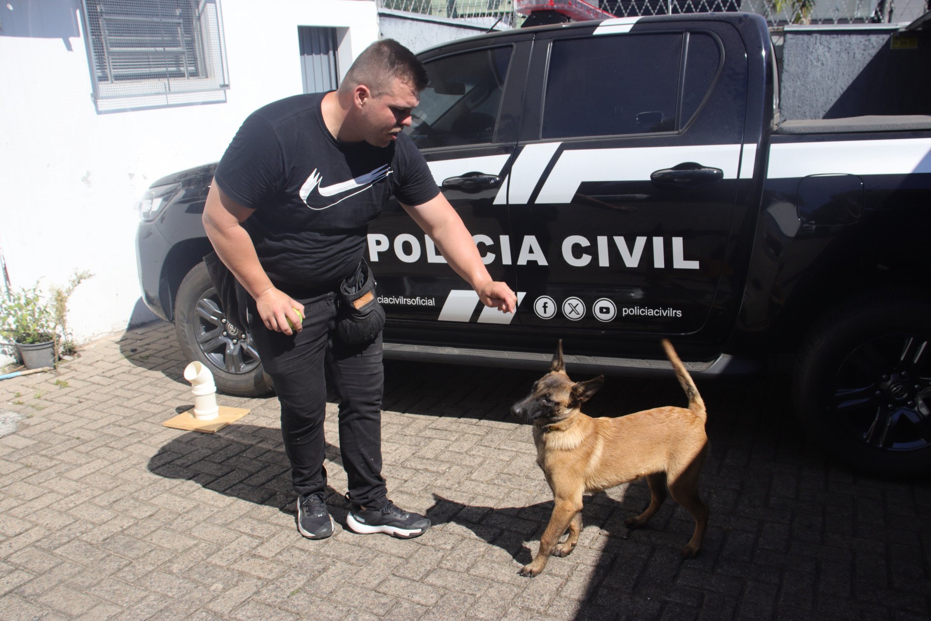 Pol&iacute;cia Civil de Sapiranga conta com duas novas cachorras policiais em treinamento; confira