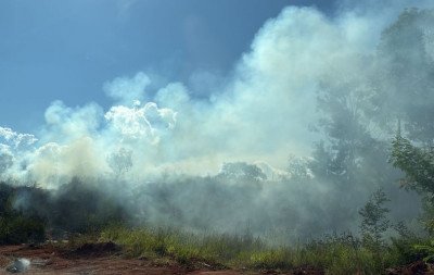 Homem provoca incêndio em área verde de Estância Velha ao tentar queimar fios de cobre