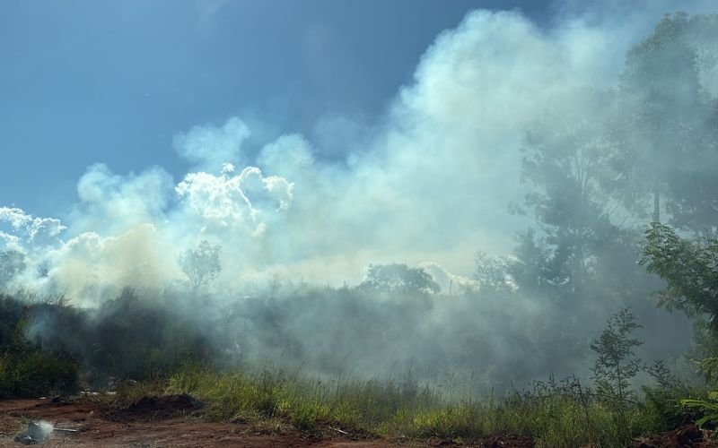 Incêndio atingiu área verde existente no bairro Veneza, em Estância Velha | abc+