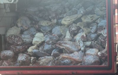 Proprietário de supermercado é preso após apreensão de 8 toneladas de alimentos impróprios no litoral norte