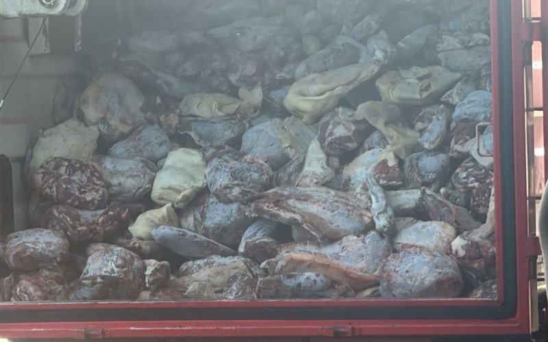 APREENSÃO DE MAIS DE 8 TONELADAS DE ALIMENTOS IMPRÓPRIOS AO CONSUMO EM IMBÉ