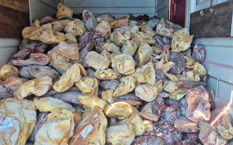 APREENSÃO DE MAIS DE 8 TONELADAS DE ALIMENTOS IMPRÓPRIOS AO CONSUMO EM IMBÉ