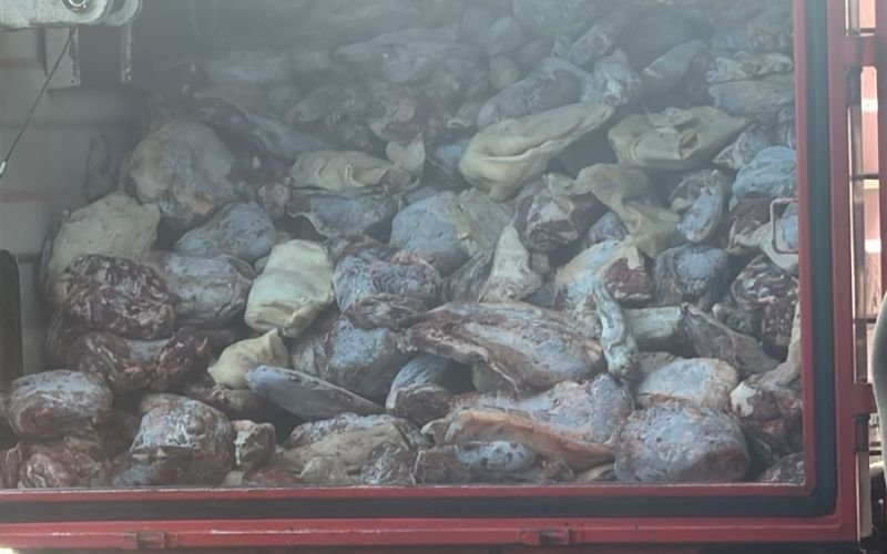 Proprietário de supermercado é preso após apreensão de 8 toneladas de alimentos impróprios no litoral norte