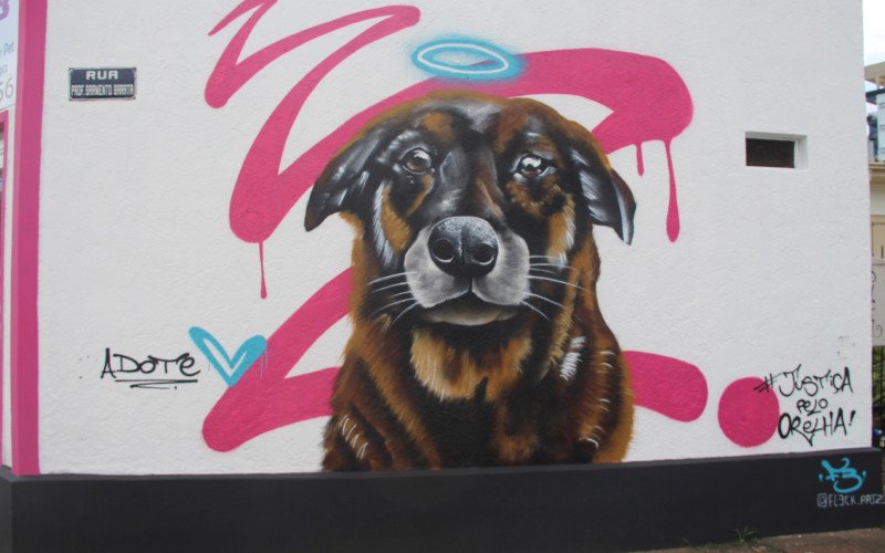 Mural Orelha - Sapiranga | abc+