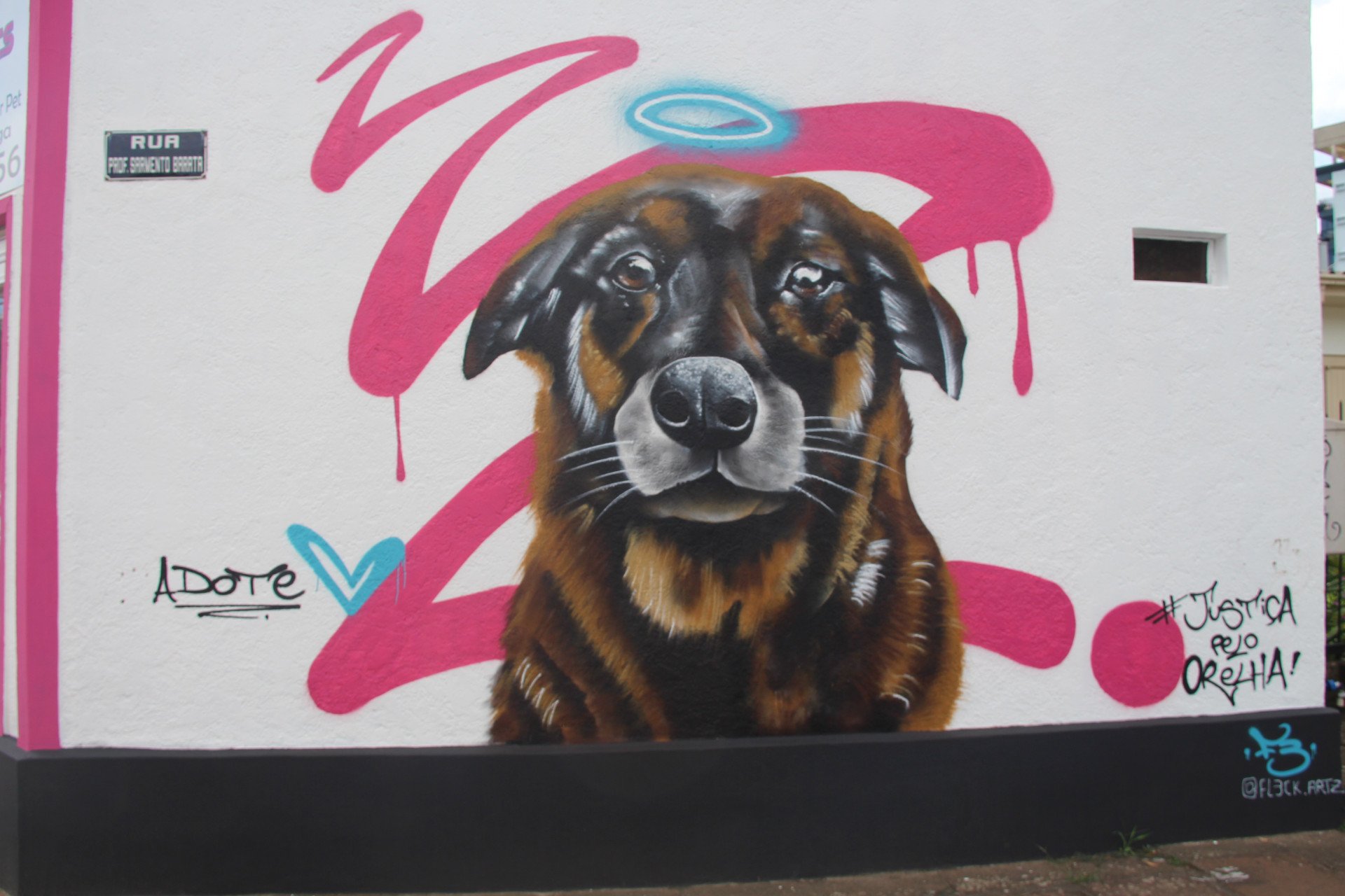 V&Iacute;DEO: Mural em homenagem ao c&atilde;o Orelha se torna atra&ccedil;&atilde;o no Vale do Sinos
