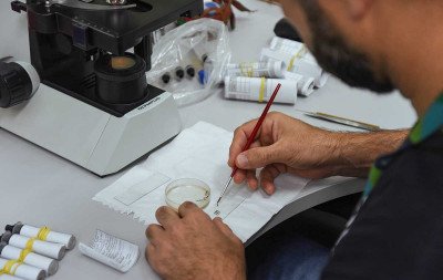 Novo Hamburgo entra em alerta para dengue e projeção indica aumento até abril