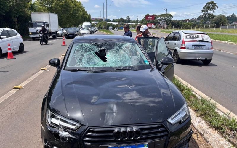 Ciclista é atingido por carro na RS-239, em Novo Hamburgo | abc+