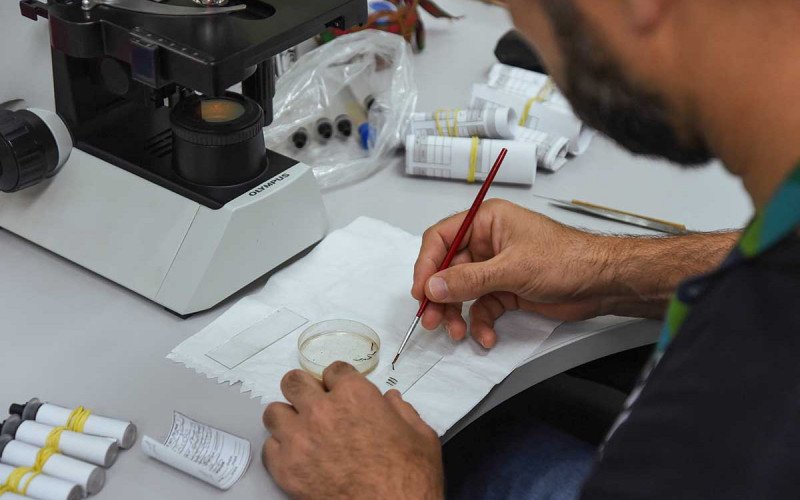 Análise das amostras coletadas é feita no Câmpus II da Feevale   | abc+