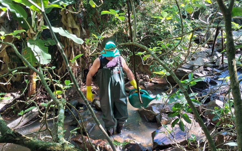 Estância Velha intensifica combate ao Borrachudo